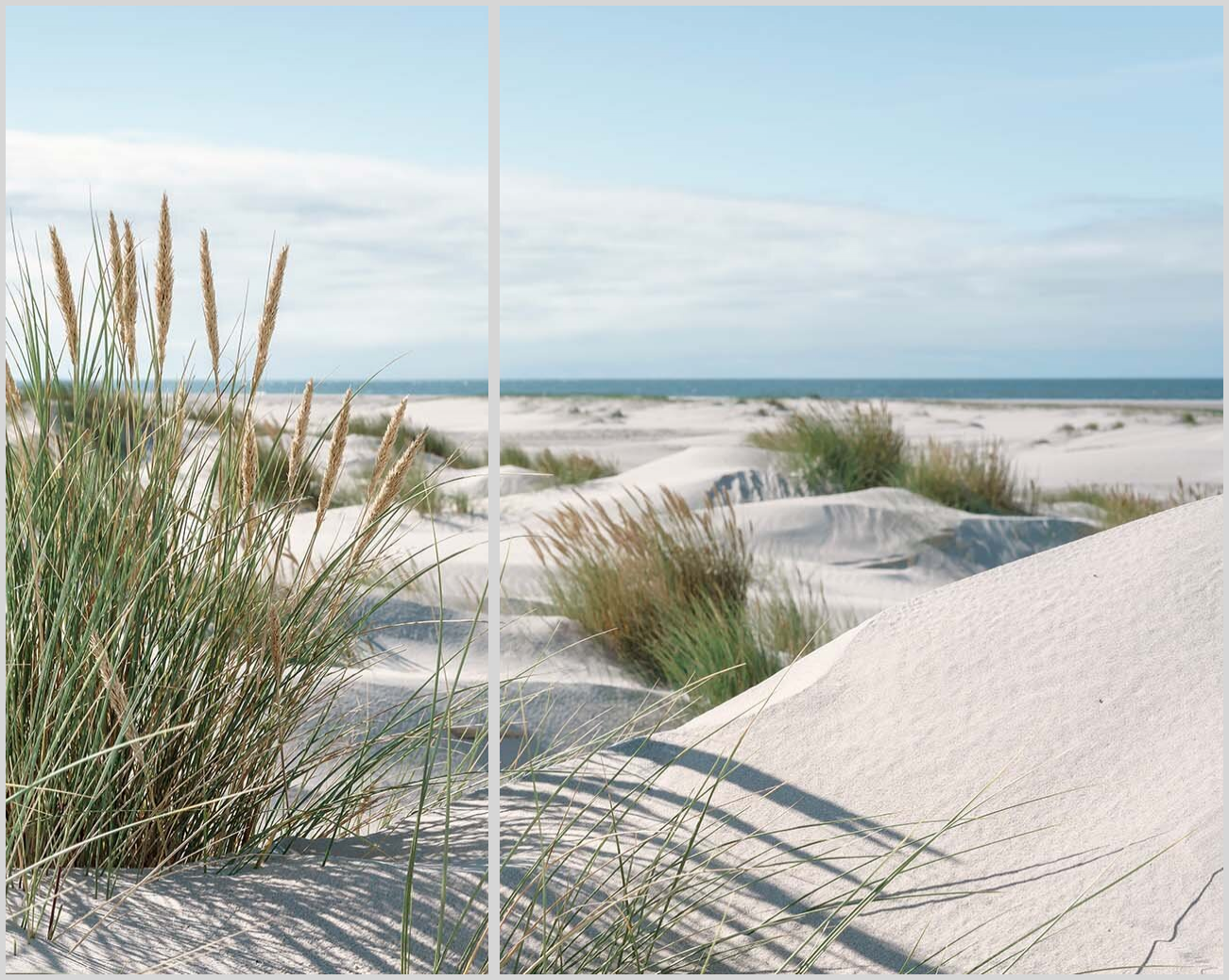 Shop Mar 38 21 - 2123737