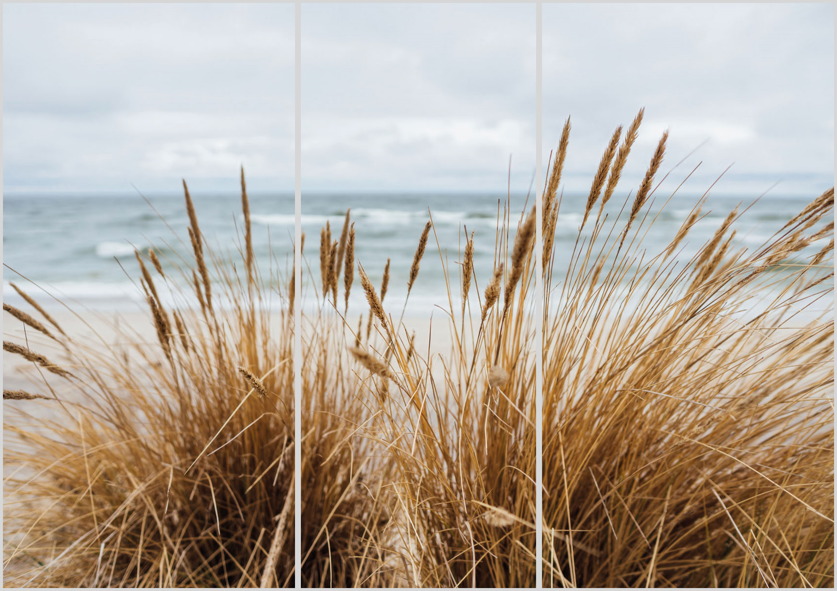 Konfigurator-Bild für ID 2124405