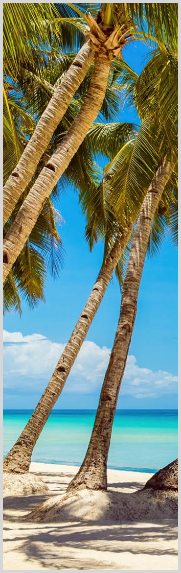 Konfigurator-Bild für ID 2127941