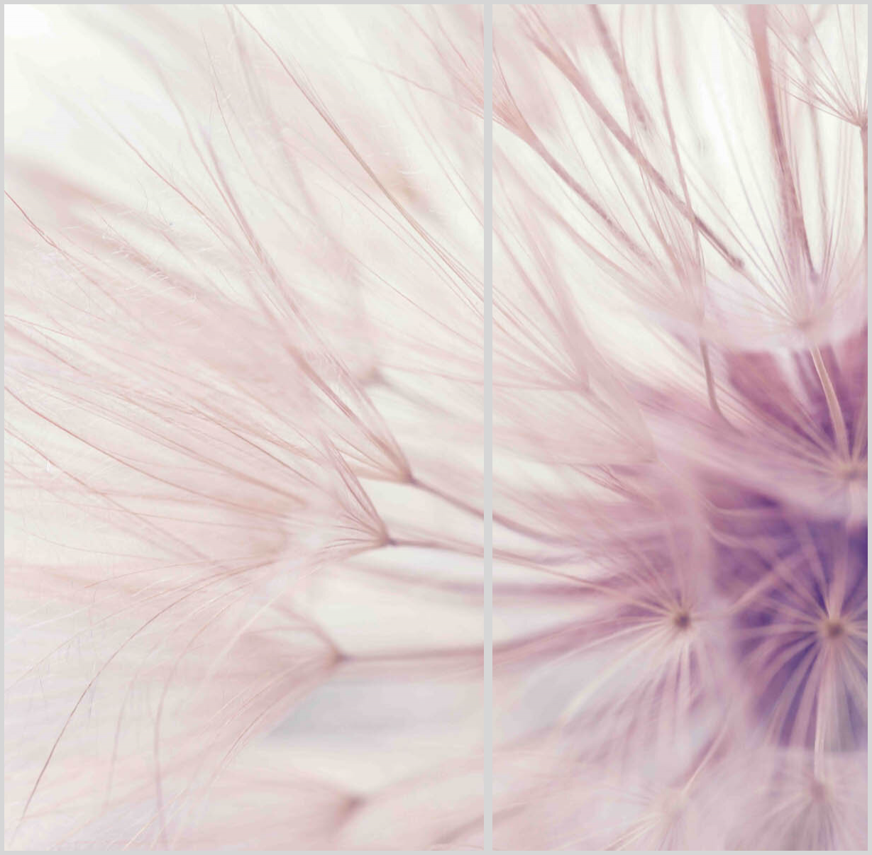 Konfigurator-Bild für ID 2134653