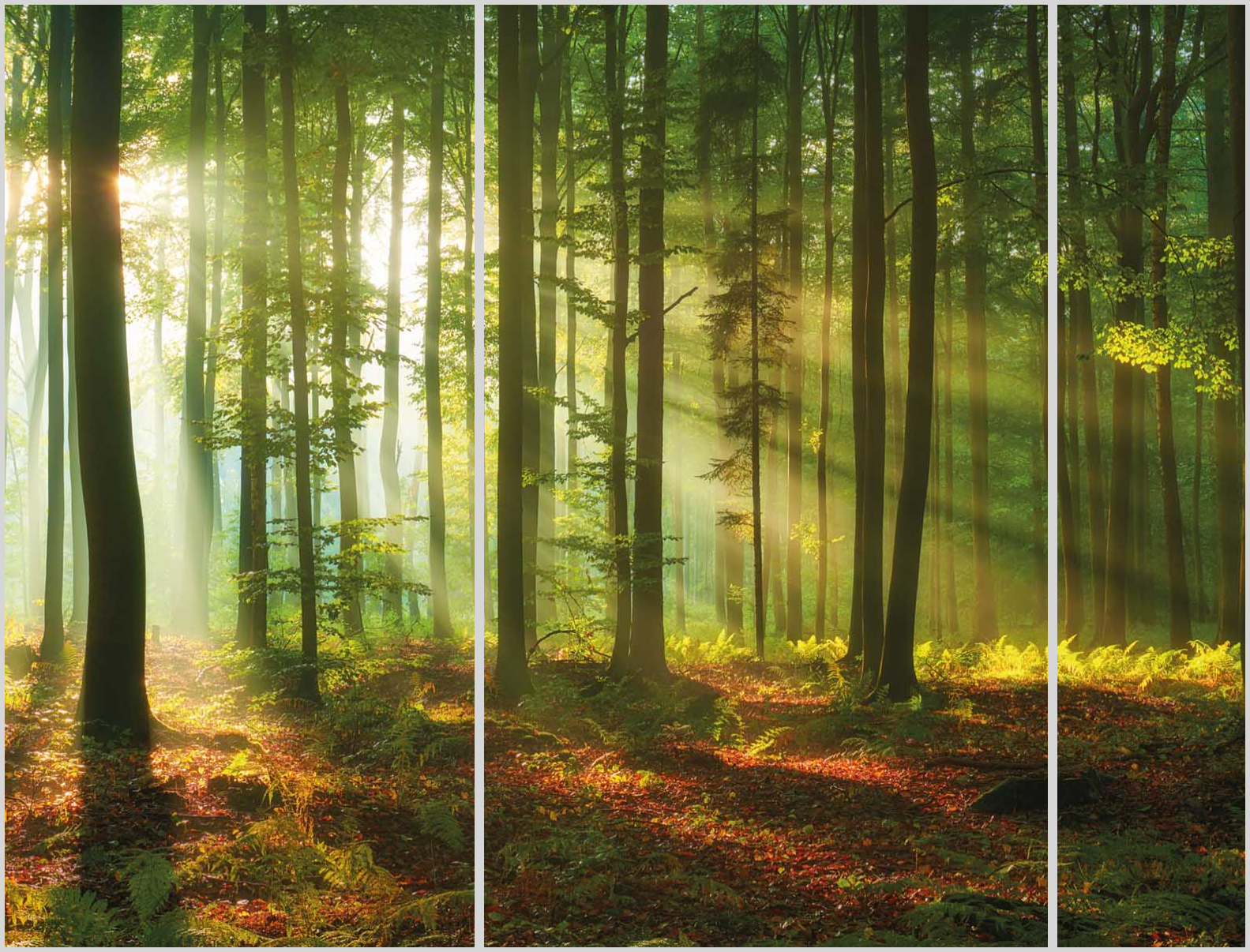 Konfigurator-Bild für ID 2134669