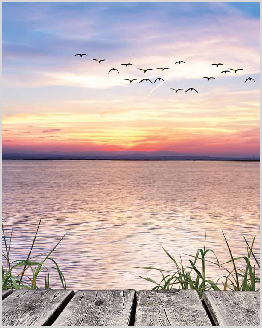 Shop Mar 18 21 - 2136981