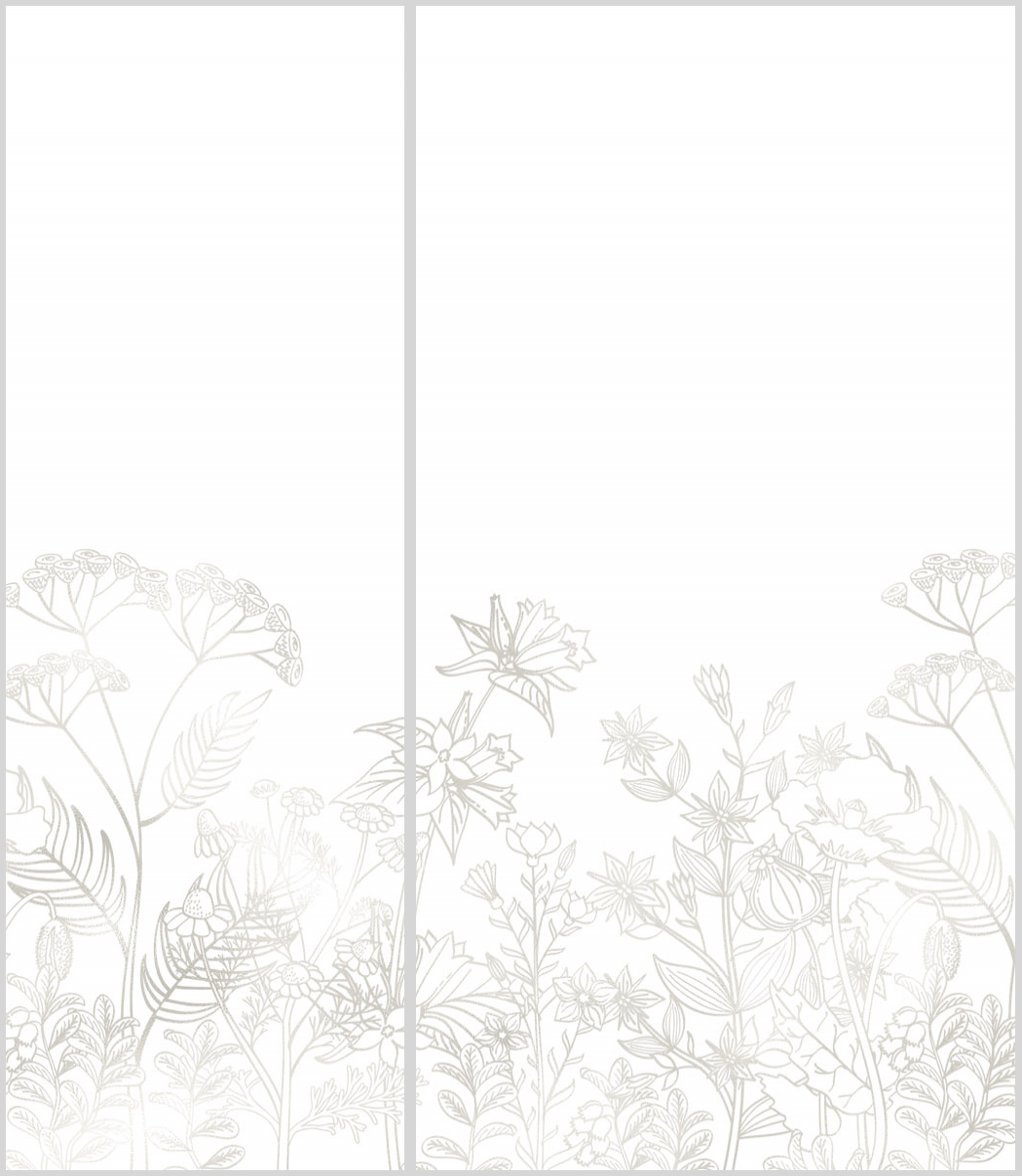 Exk 08 21c - 2141629