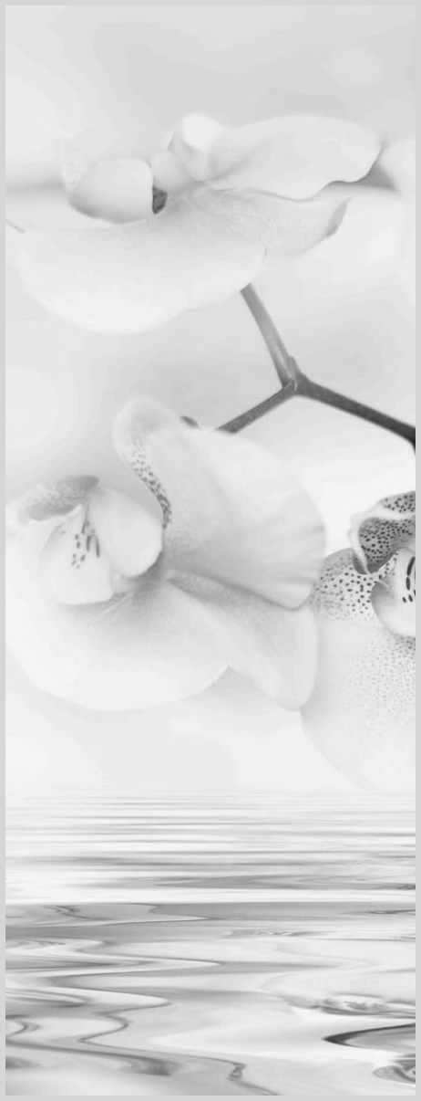 Konfigurator-Bild für ID 2142649