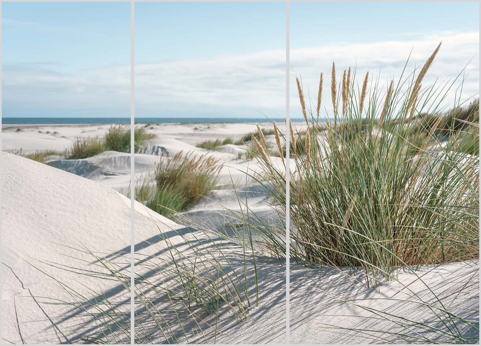 Shop Mar 38 21 - 2148237