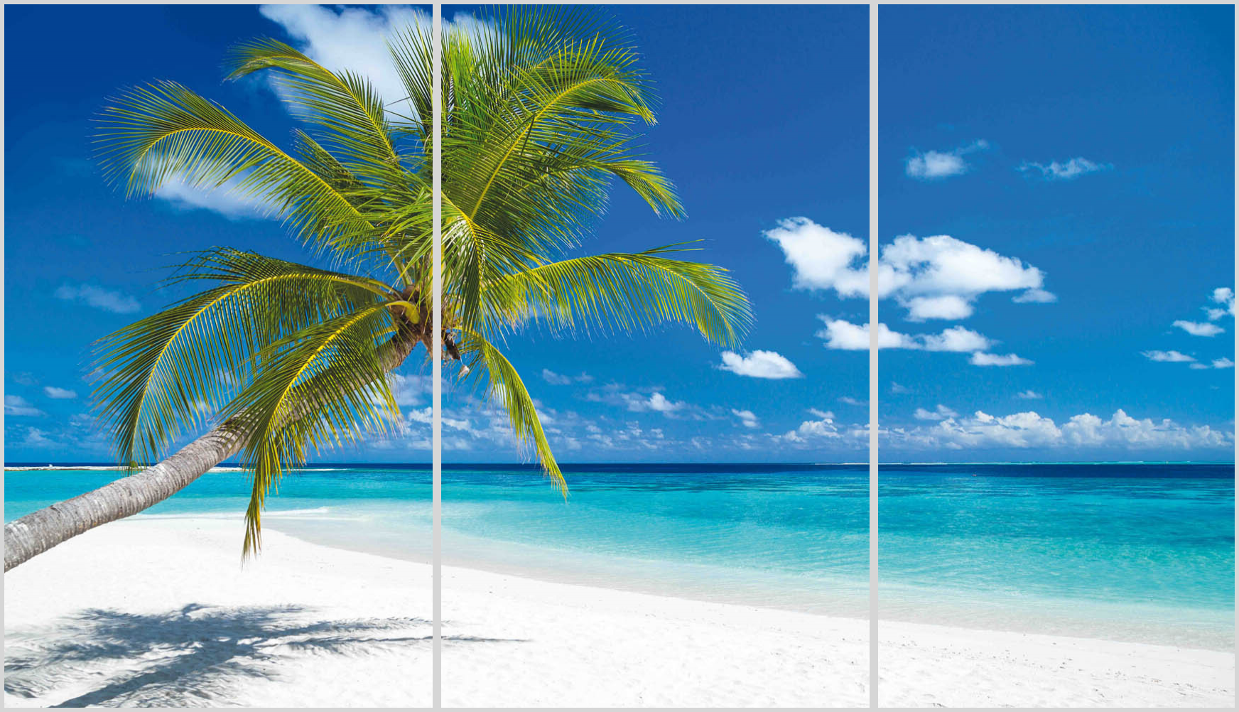 Konfigurator-Bild für ID 2156537