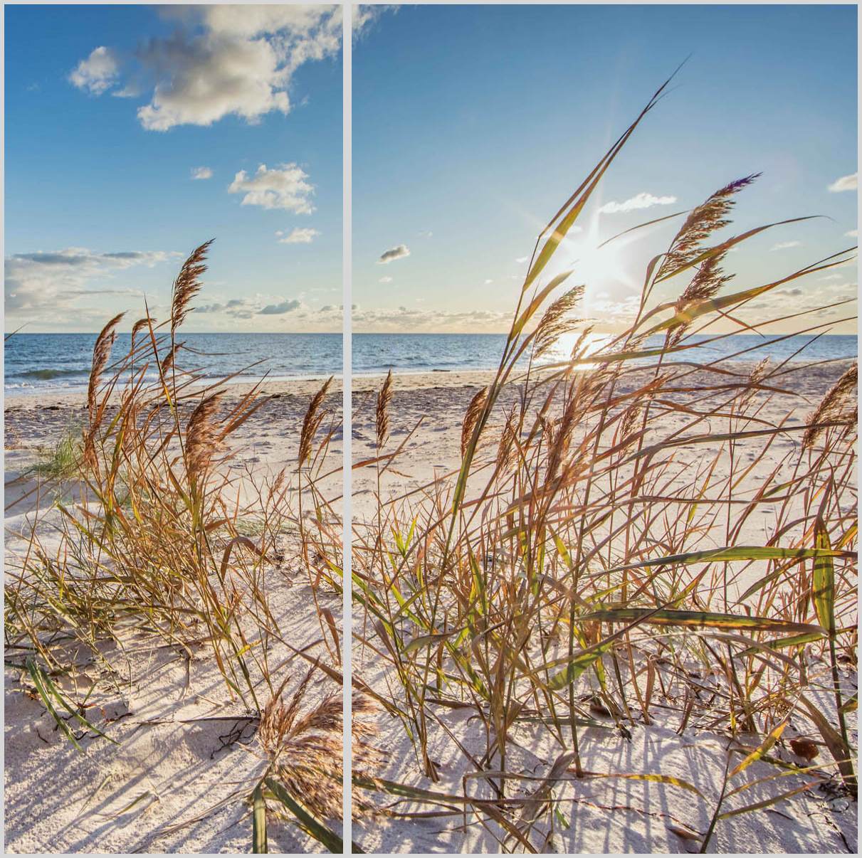 Konfigurator-Bild für ID 2161465