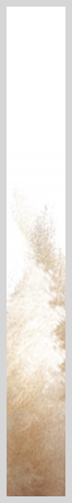 Konfigurator-Bild für ID 2189993