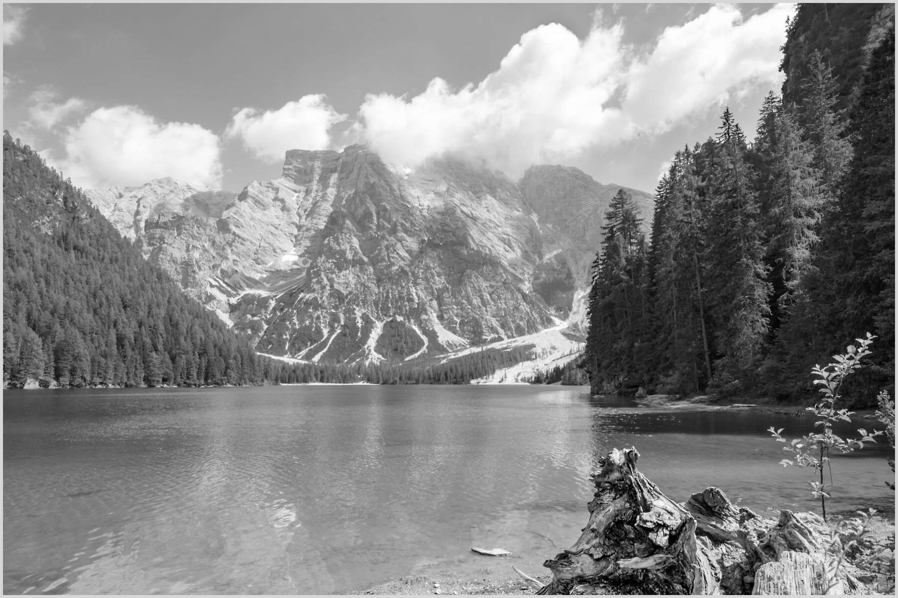 Konfigurator-Bild für ID 2194029