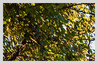 Konfigurator-Bild für ID 2202337