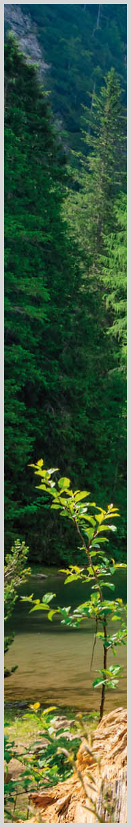 Konfigurator-Bild für ID 2206701