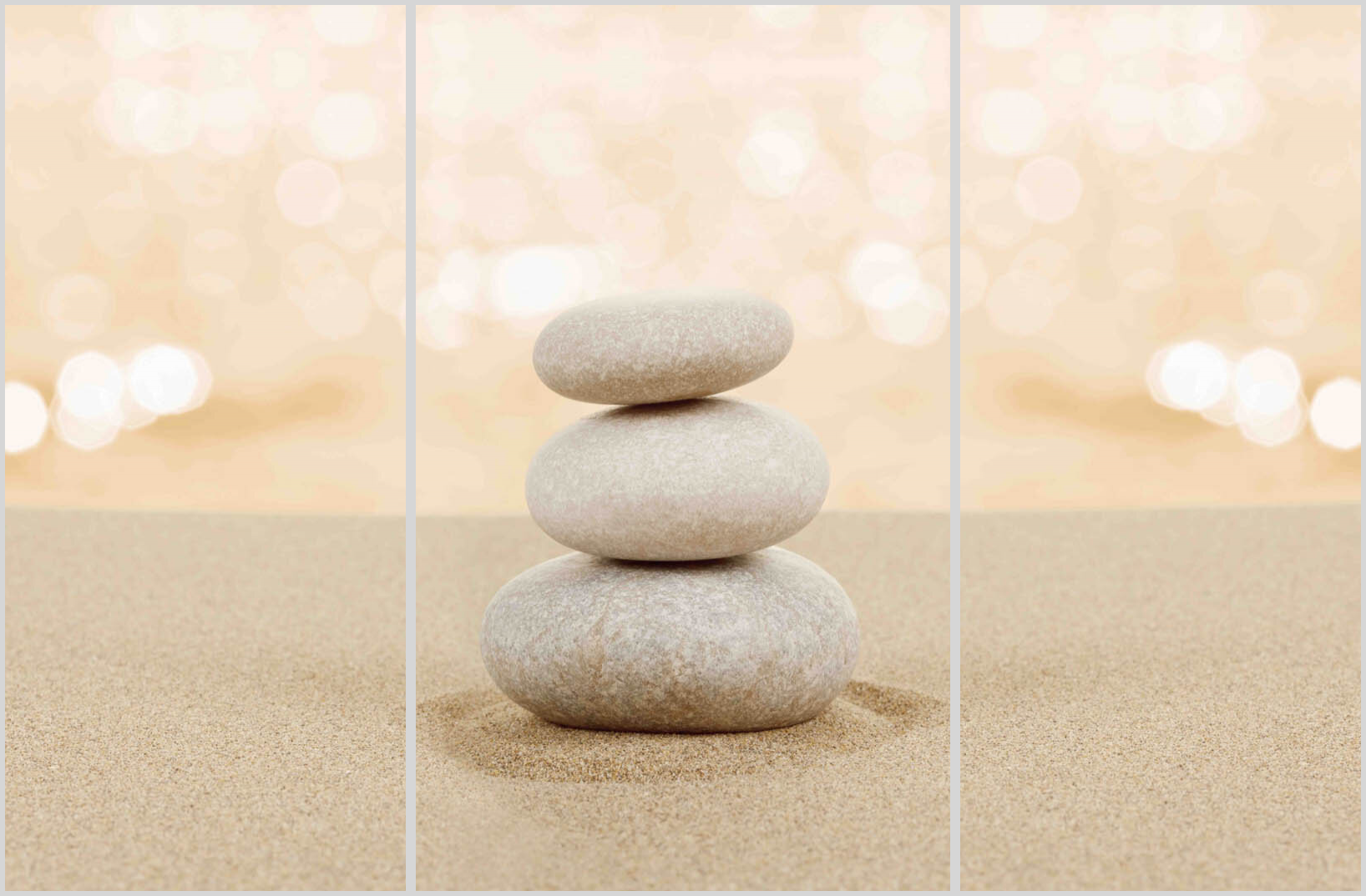 Zen 03 16 - 2213681