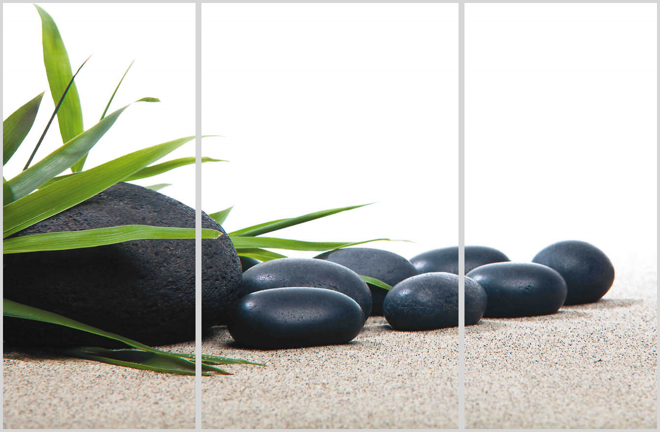 Zen 17 19 - 2213697