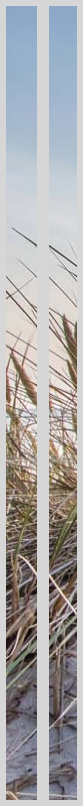 Konfigurator-Bild für ID 2219457
