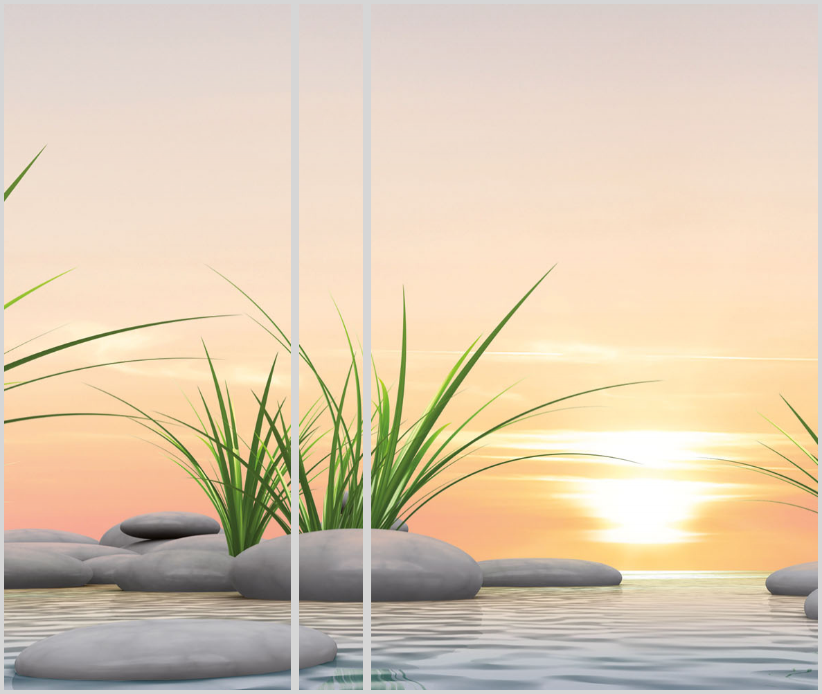 Zen 08b 21 - 2222201