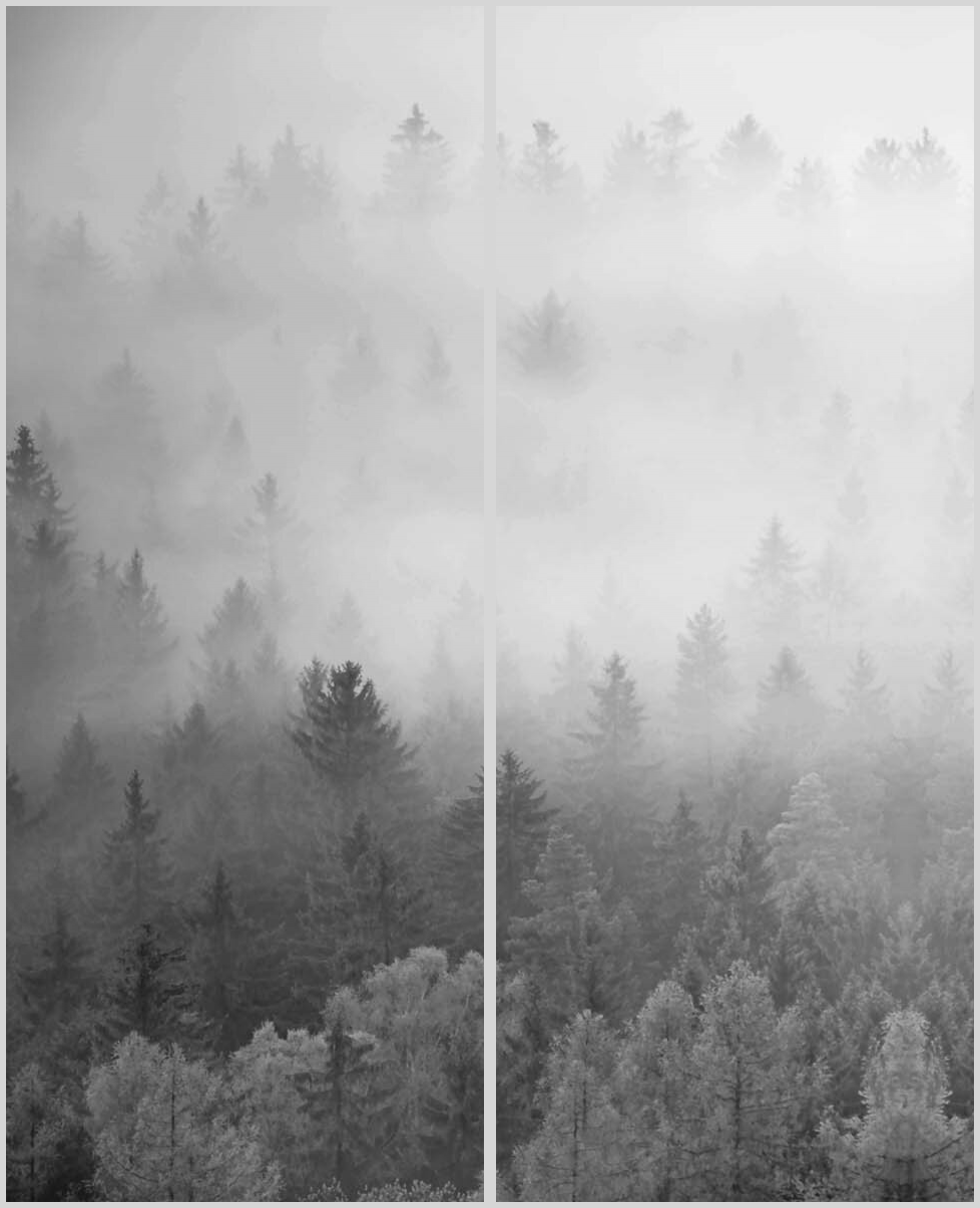 Konfigurator-Bild für ID 2237925
