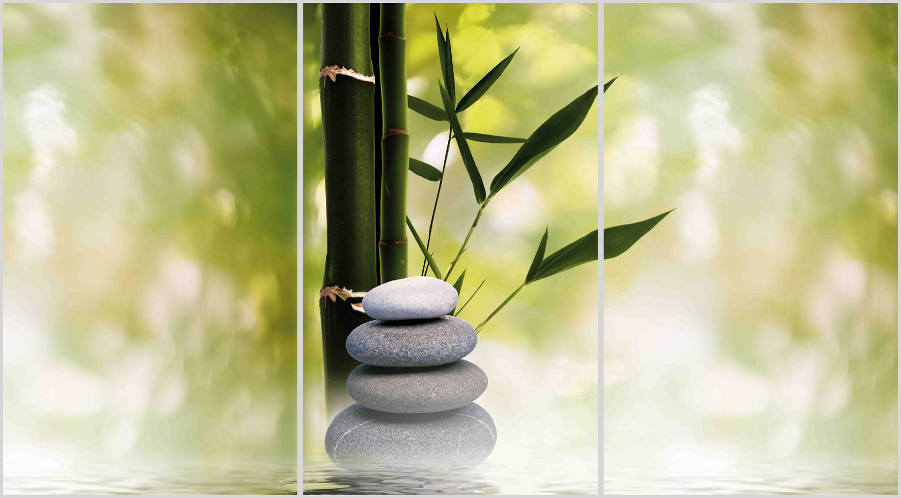 Zen 14 17 - 2241049