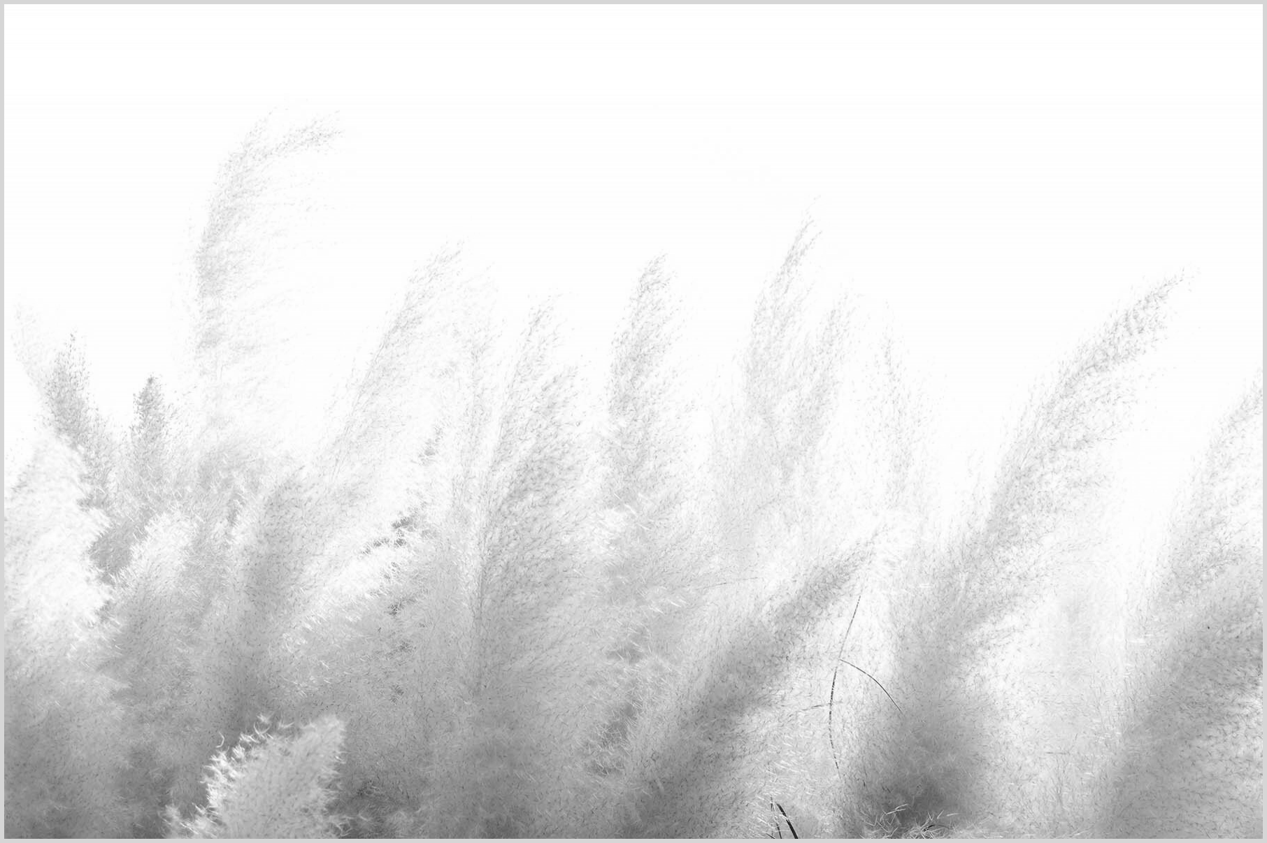Konfigurator-Bild für ID 2251601