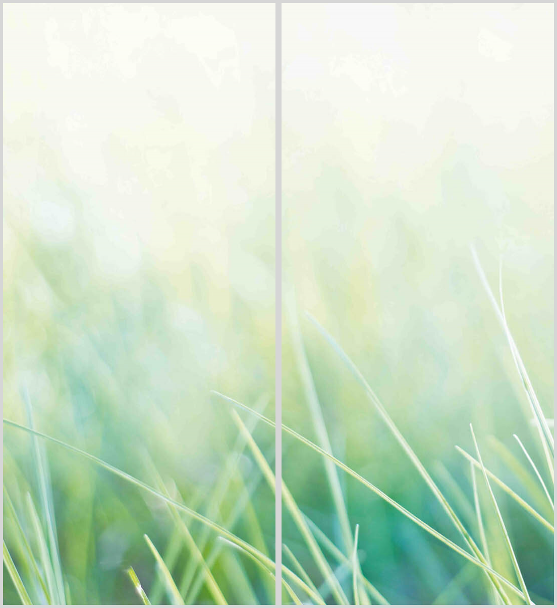 Konfigurator-Bild für ID 2266793