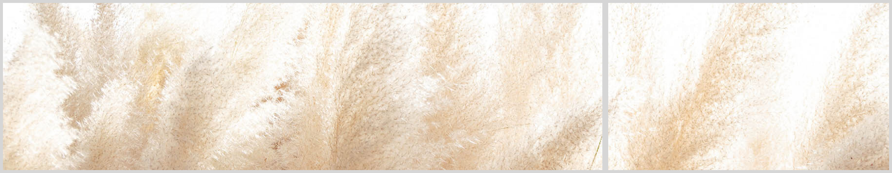 Konfigurator-Bild für ID 2286181