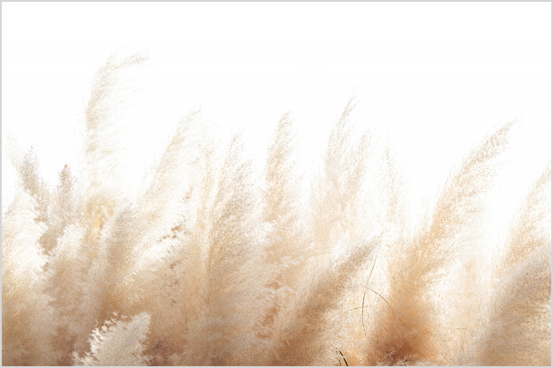 Konfigurator-Bild für ID 2293409