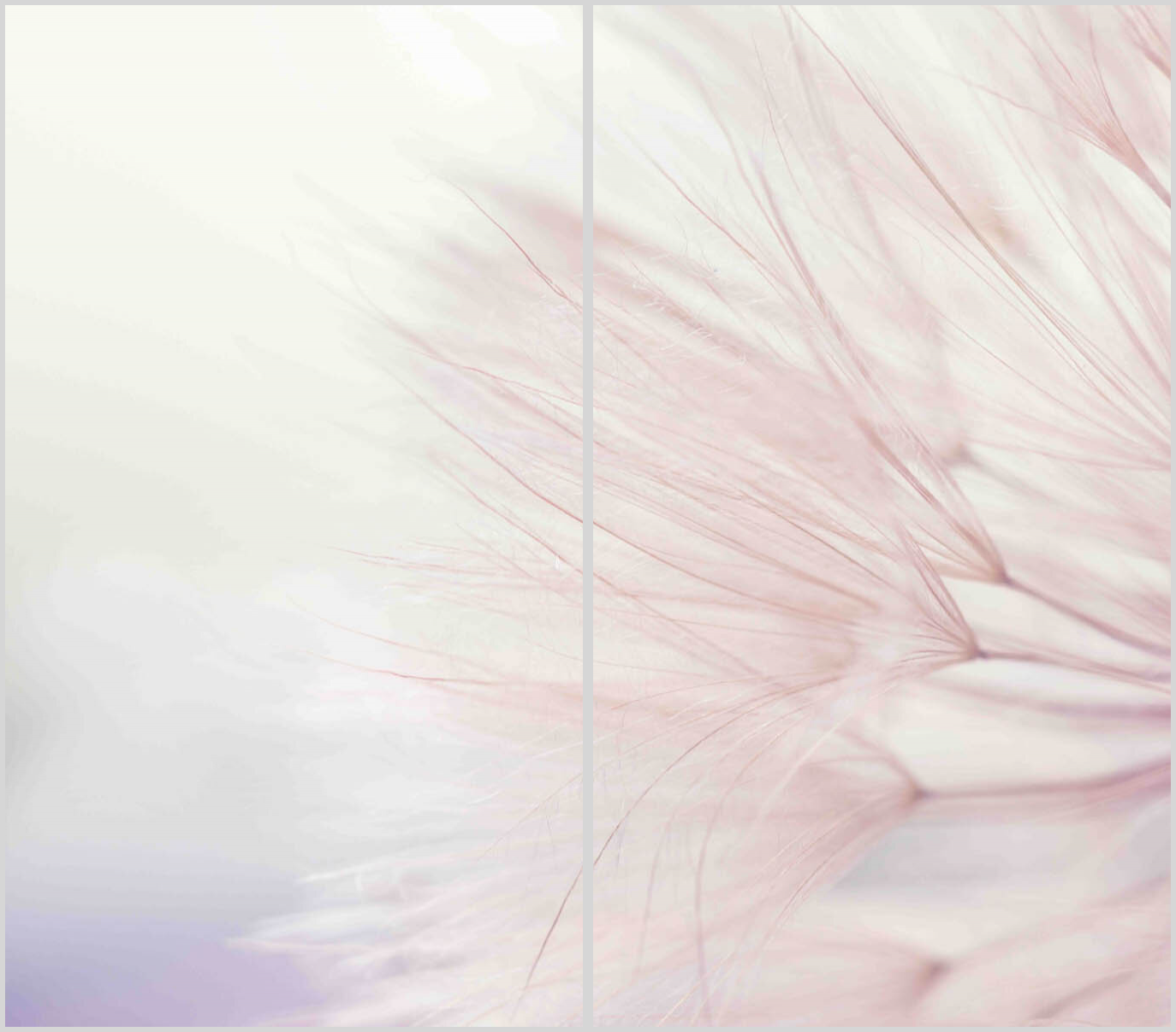 Konfigurator-Bild für ID 2293665