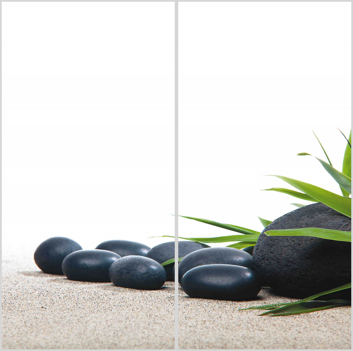 Zen 17 19 - 2310813